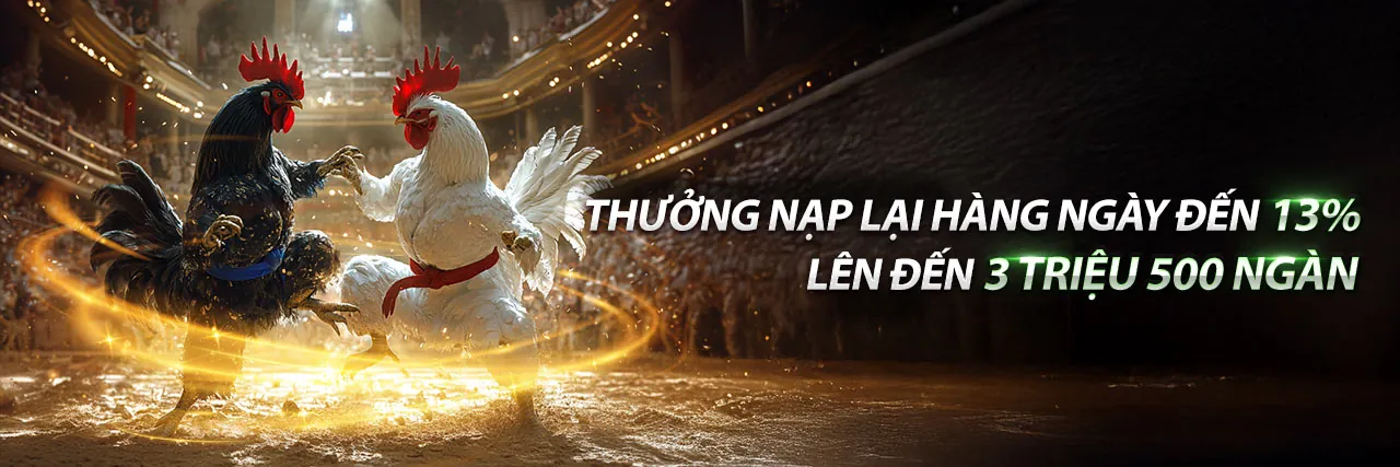 Hướng dẫn chơi bắn cá 123duabi